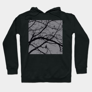 Halloween in black and gray; hawk raven vulture crow Hoodie